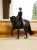 nauszniki różowe glimmer equestrian stockholm  (4).webp