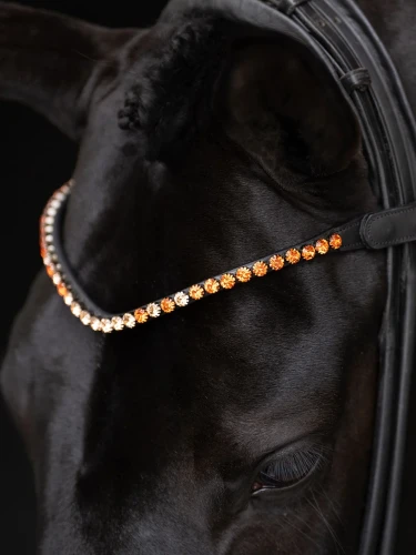 naczółek pomarańczowy equestrian stockholm  (1).webp