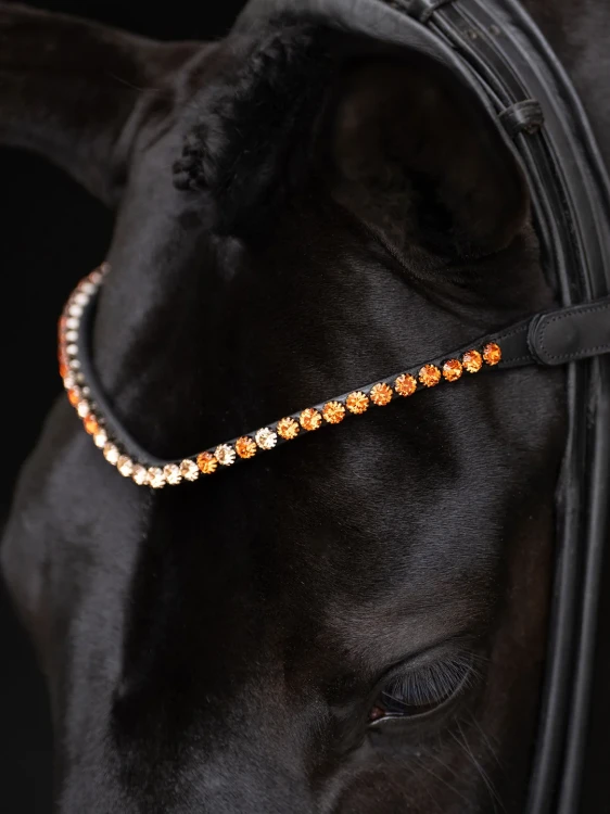 naczółek pomarańczowy equestrian stockholm  (1).webp