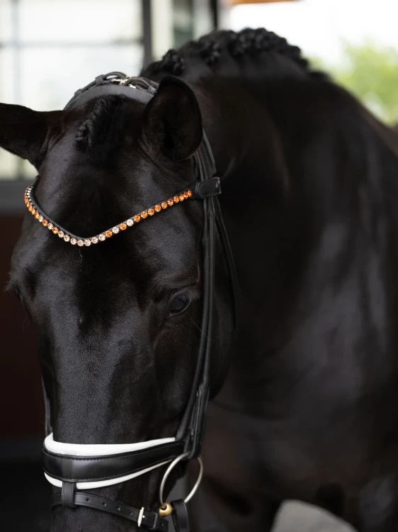 naczółek pomarańczowy equestrian stockholm  (6).webp