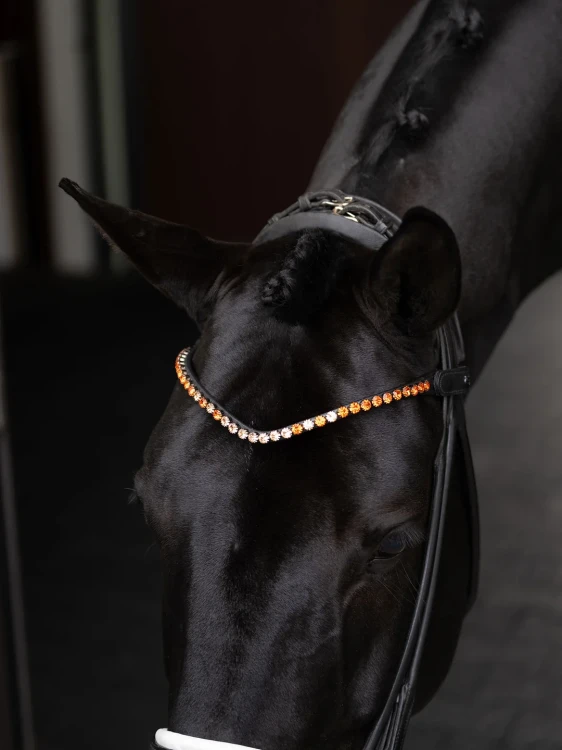naczółek pomarańczowy equestrian stockholm  (7).webp