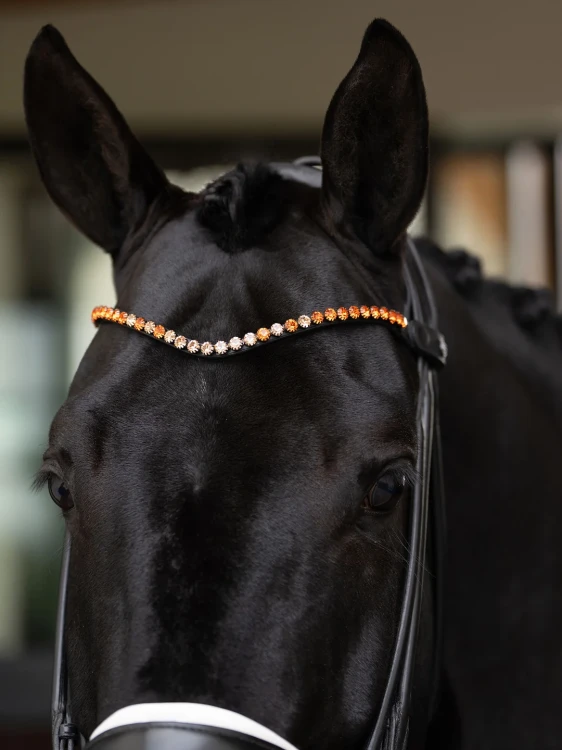 naczółek pomarańczowy equestrian stockholm  (8).webp