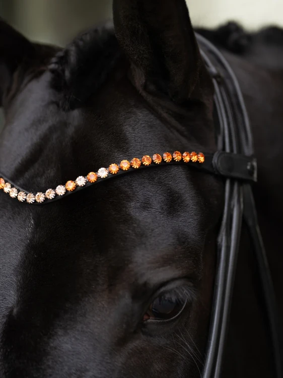 naczółek pomarańczowy equestrian stockholm  (9).webp