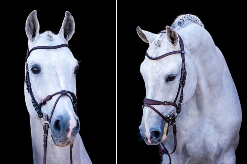 Ogłowie Henrik von Eckerman HvE PS of Sweden (2).jpg