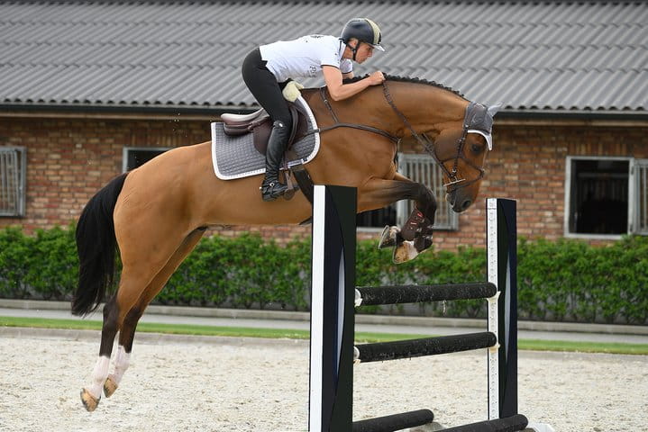 Czaprak skokowy PRO  PS of Sweden grey szary  (4).jpg