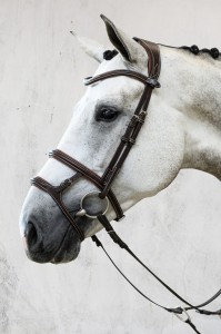 Ogłowie  Paris  - kolekcja limitowana