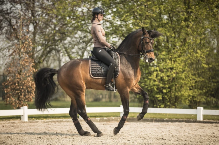 Owijki Black Bronze Equito  (1).jpg