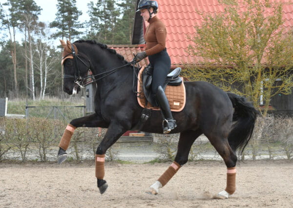 Owijki Rocky Road Equito  (1).jpg