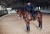 Kurtka Next Generation Navy Equestrian Stockholm  (4).webp