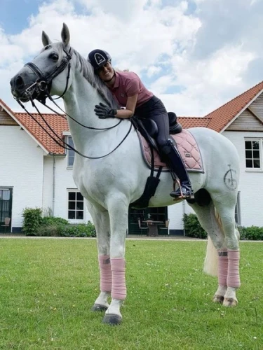 Owijki Pink Equestrian Stoskholm  (2).webp