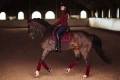 bordeaux-fleece-bandages-equestrian-stockholm-1.webp