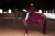 bordeaux-fleece-bandages-equestrian-stockholm-3.webp