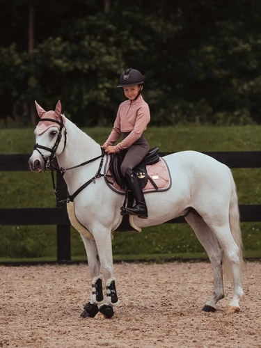 pink-ear-net-equestrian-stockholm-1.webp