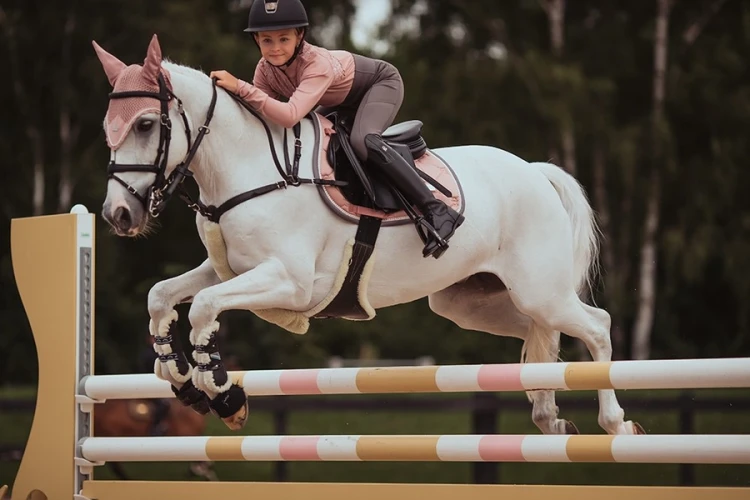 pink-ear-net-equestrian-stockholm-3.webp