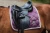 czaprak orchid-bloom-dressage-saddle-pad-equestrian-stockholm-1-1 (1).webp