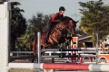 czaprak bordeaux-saddle-pad-jump-equestrian-stockholm-1-1 (3).webp