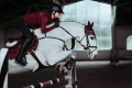 czaprak bordeaux-saddle-pad-jump-equestrian-stockholm-1-1 (4).webp