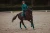 czaprak dressage-saddlepad-emerald-equestrian-stockholm-1 (3).webp