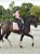 czaprak dressage -pink-pearl-equestrian-stockholm.webp