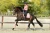 laura-quint-pinkpearl3-esstockholm.webp