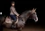saddle-pad-jump-champagne-esstockholm-3.webp