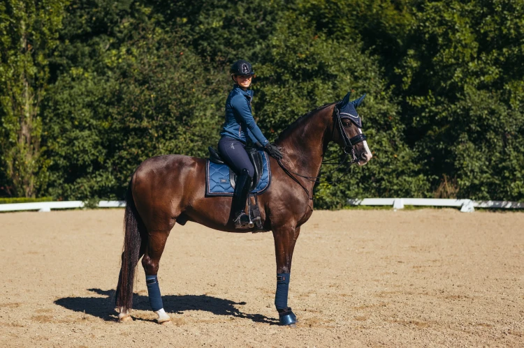 monaco-blue-ressage equestrian-stockholm (2).jpg