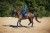 monaco-blue-ressage equestrian-stockholm (3).jpg