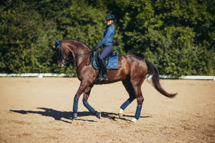 monaco-blue-ressage equestrian-stockholm (3).jpg