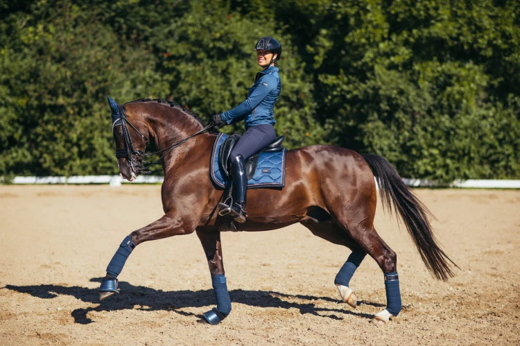 monaco-blue-ressage equestrian-stockholm (4).jpg
