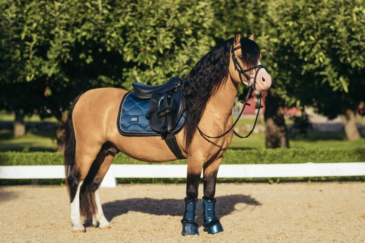 monaco-blue-ressage equestrian-stockholm (6).jpg