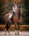 Czaprak Suede Brown Latte DRessage PS of Sweden  (3).jpg