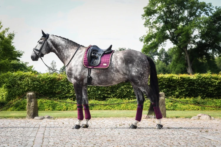 Czaprak Plum Rose Gold Dressage Equito  (2).jpg