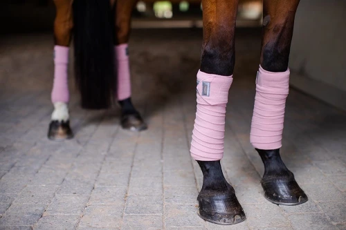 owijki pink-crystal-equestrian-stockholm-2 (1).webp