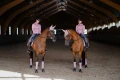 owijki pink-crystal-equestrian-stockholm-2 (2).webp