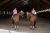 owijki pink-crystal-equestrian-stockholm-2 (2).webp