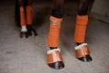 owijki bronze-gold equestrian-stockholm-1-webb (3).webp