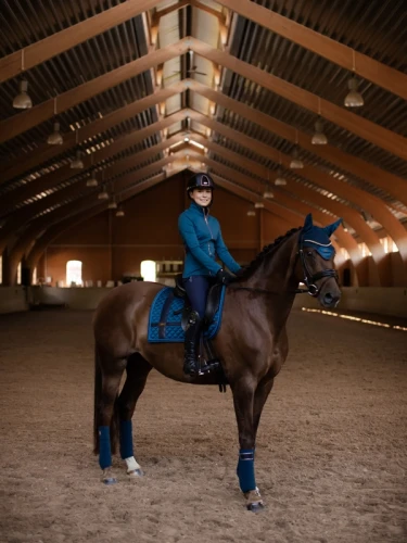 Czaprak No Boundaries Monaco Blue Dressage Equestrian Stockholm  (1).webp