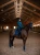 Czaprak No Boundaries Monaco Blue Dressage Equestrian Stockholm  (1).webp