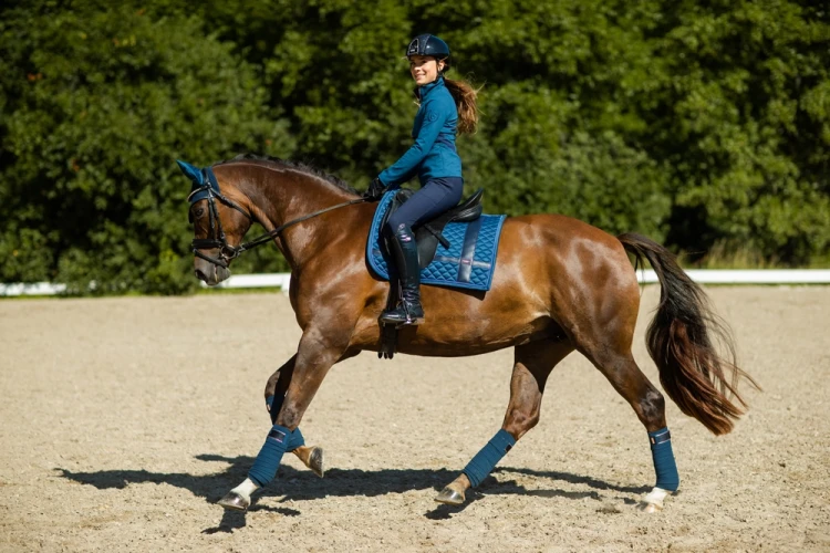 Czaprak No Boundaries Monaco Blue Dressage Equestrian Stockholm  (3).webp
