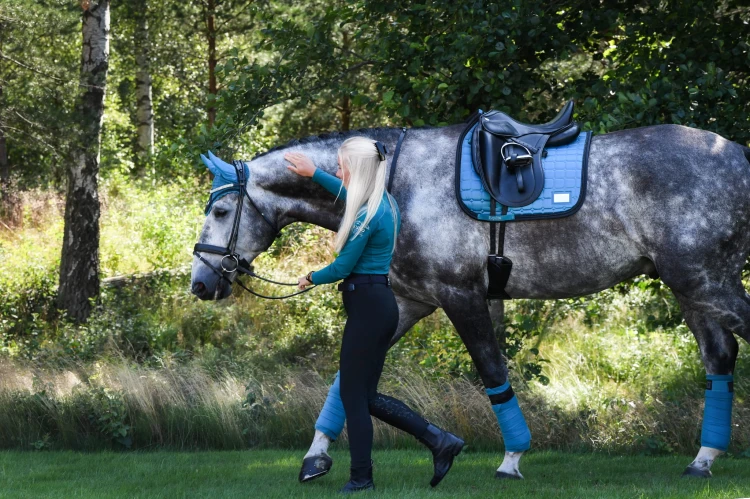 Czaprak Pool Party Dressage Equito .jpg