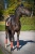 Owijki Connamon Spice Equito ] (1).webp