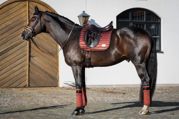 Owijki Connamon Spice Equito ] (3).webp
