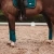 Owijki Emerald Equestrian Stockholm  (3).webp