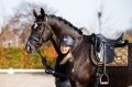 Czaprak Golden Brass Dressage Equestrian Stockholm  (5).JPG