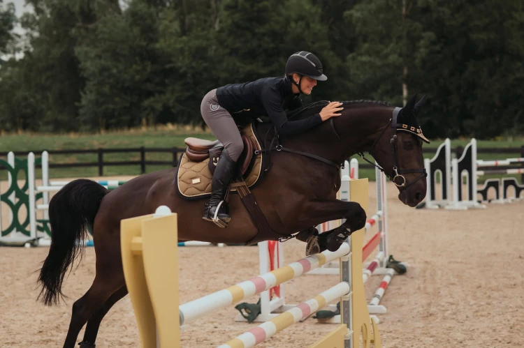 Czaprak Golden Brass Jump Equestrian Stockholm  (2).jpg