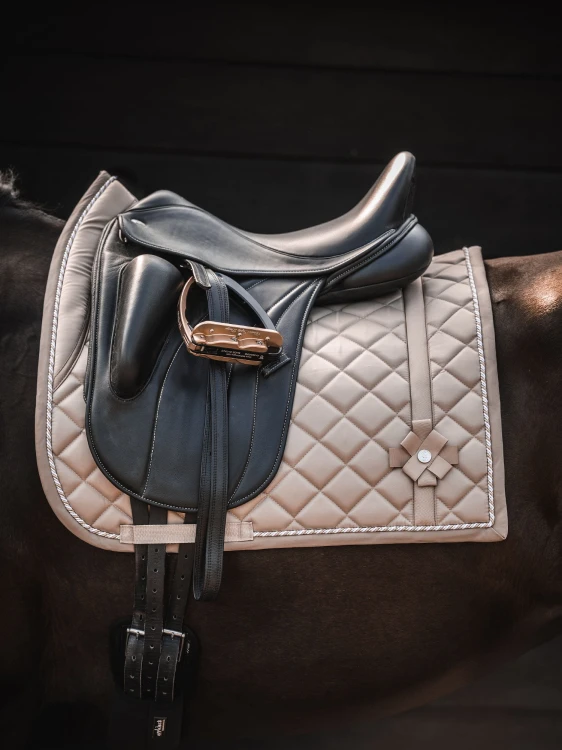 Czaprak Diamond bow sand dressage PS of Sweden  (2).jpg