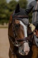 Nauszniki Dark Sky Equestrian Stockholm (1).jpg