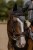 Nauszniki Dark Sky Equestrian Stockholm (1).jpg