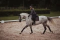 Owijki Dark Sky Equestrian Stockholm  (2).webp