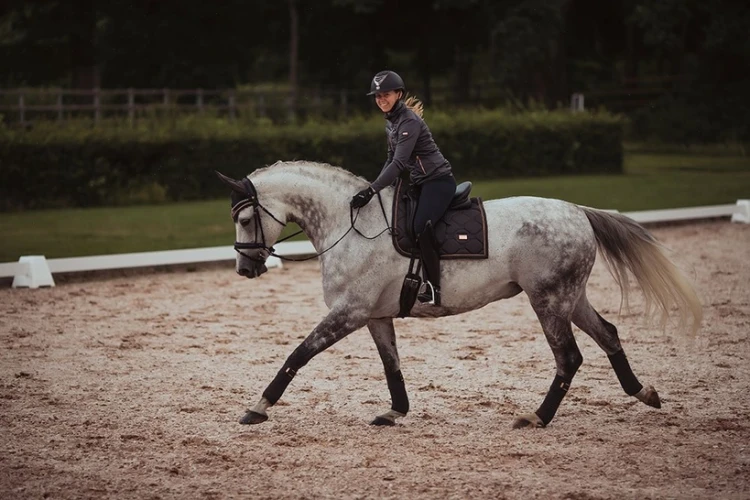 Owijki Dark Sky Equestrian Stockholm  (2).webp